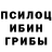 Галлюциногенные грибы Cubensis nbZODIAC