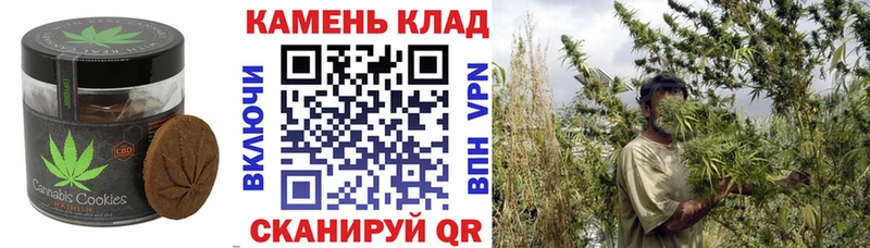 закладка  Ленинск-Кузнецкий  Cannafood конопля 