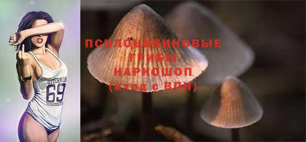 jwh Нязепетровск