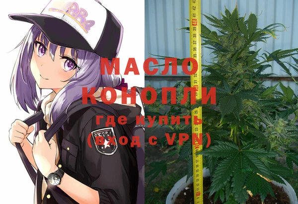 эйфоретик Няндома