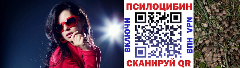 Псилоцибиновые грибы мицелий  где продают наркотики  Ленинск-Кузнецкий 